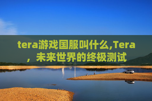 tera游戏国服叫什么,Tera，未来世界的终极测试