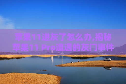 苹果11进灰了怎么办,揭秘苹果11 Pro遭遇的灰门事件