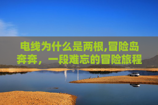 电线为什么是两根,冒险岛奔奔，一段难忘的冒险旅程