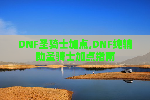 DNF圣骑士加点,DNF纯辅助圣骑士加点指南