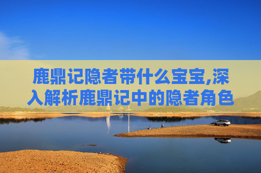 鹿鼎记隐者带什么宝宝,深入解析鹿鼎记中的隐者角色——如何加点？