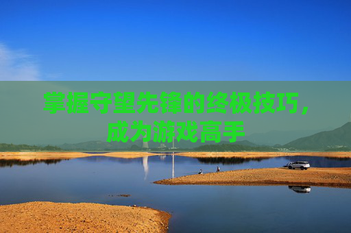 掌握守望先锋的终极技巧，成为游戏高手