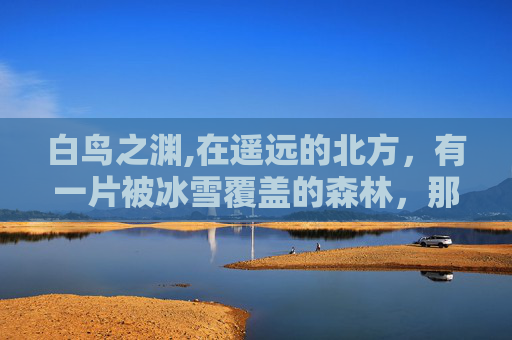 白鸟之渊,在遥远的北方,有一片被冰雪覆盖的森林,那里住着一群特殊的鸟儿——白羽鹤。它们不同于其他鸟类,拥有一双洁白如雪的翅膀,仿佛是大自然赋予它们的翅膀,赋予了它们飞翔的力量 白鸟之渊,在遥远的北方,有一片被冰雪覆盖的森林,那里住着一群特殊的鸟儿——白羽鹤。它们不同于其他鸟类,拥有一双洁白如雪的翅膀,仿佛是大自然赋予它们的翅膀,赋予了它们飞翔的力量