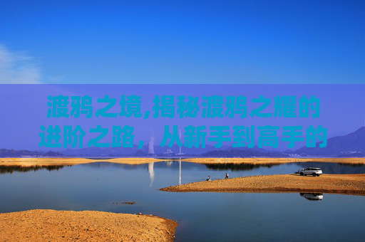 渡鸦之境,揭秘渡鸦之耀的进阶之路，从新手到高手的必备策略
