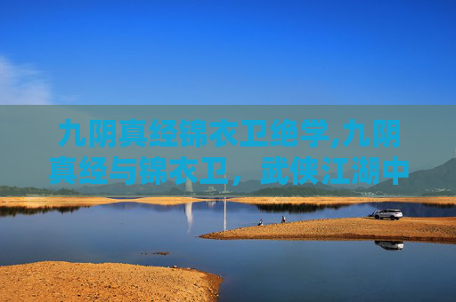 九阴真经锦衣卫绝学,九阴真经与锦衣卫，武侠江湖中的对决