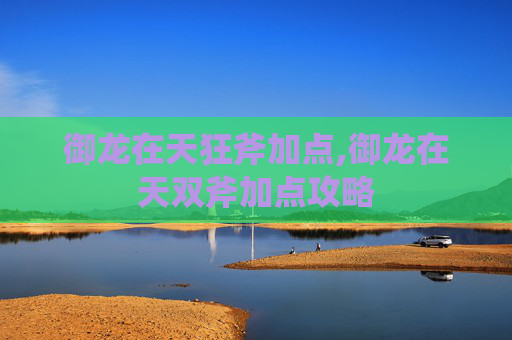 御龙在天狂斧加点,御龙在天双斧加点攻略