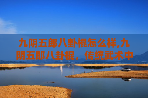九阴五郎八卦棍怎么样,九阴五郎八卦棍，传统武术中的隐秘瑰宝