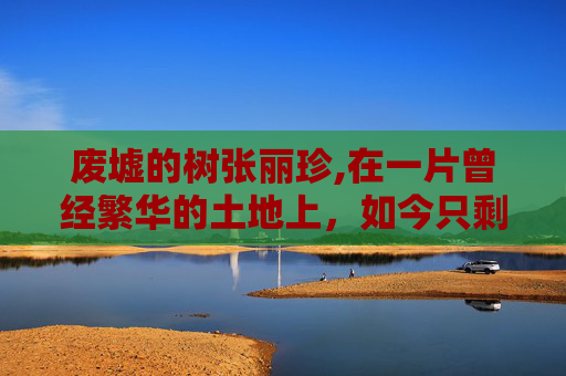 废墟的树张丽珍,在一片曾经繁华的土地上，如今只剩下了断壁残垣。曾经的高楼大厦、车水马龙，都已成为过去。然而，在这废墟之中，却有一棵顽强生长的树，它似乎在告诉我们，即使在最黑暗的时刻，生命依然能够找到一线光明