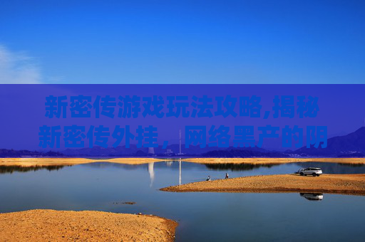 新密传游戏玩法攻略,揭秘新密传外挂，网络黑产的阴影与挑战