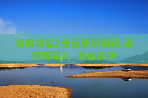 幕府将军2全面战争秘籍,幕府将军2,全面战争