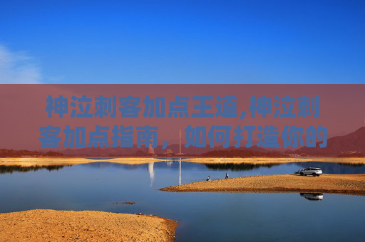 神泣刺客加点王道,神泣刺客加点指南，如何打造你的完美刺客