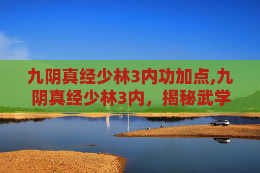 九阴真经少林3内功加点,九阴真经少林3内，揭秘武学秘籍中的终极力量