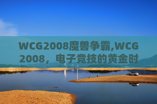 WCG2008魔兽争霸,WCG2008，电子竞技的黄金时代