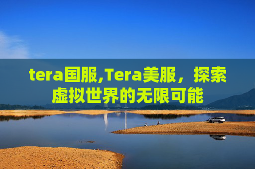 tera国服,Tera美服，探索虚拟世界的无限可能
