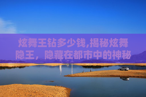 炫舞王钻多少钱,揭秘炫舞隐王，隐藏在都市中的神秘力量