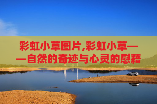 彩虹小草图片,彩虹小草——自然的奇迹与心灵的慰藉