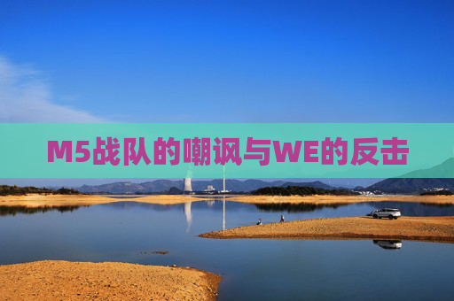 M5战队的嘲讽与WE的反击