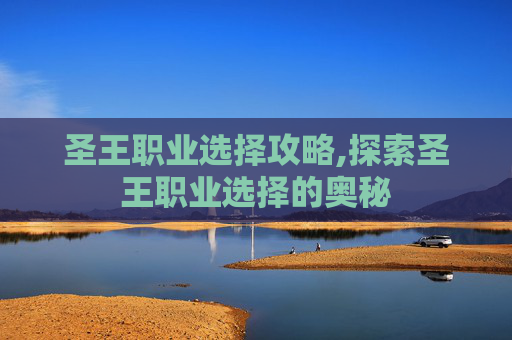 圣王职业选择攻略,探索圣王职业选择的奥秘