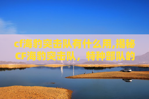 cf海豹突击队有什么用,揭秘CF海豹突击队，特种部队的精英训练与实战能力