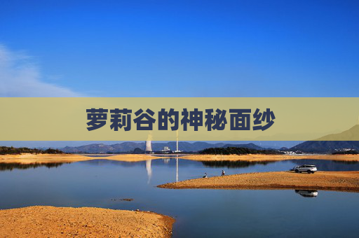 萝莉谷的神秘面纱 萝莉谷的神秘面纱