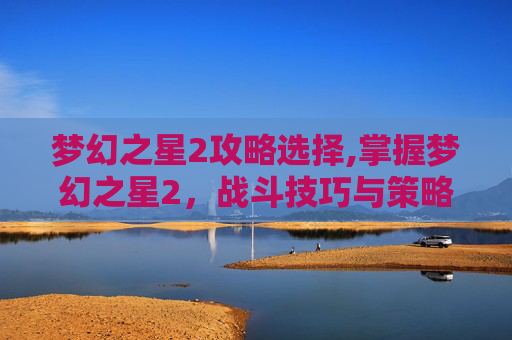 梦幻之星2攻略选择,掌握梦幻之星2，战斗技巧与策略全攻略