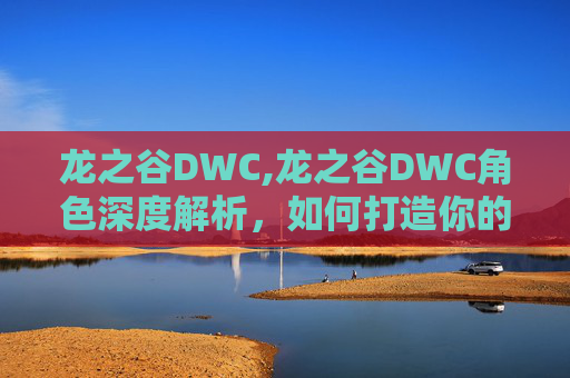 龙之谷DWC,龙之谷DWC角色深度解析，如何打造你的专属战士