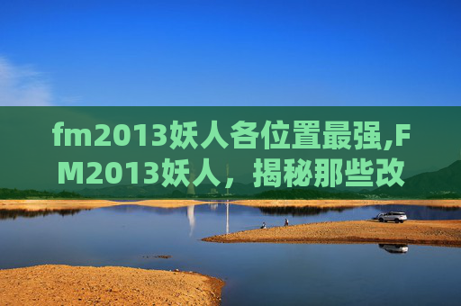 fm2013妖人各位置最强,FM2013妖人，揭秘那些改变比赛的神秘力量