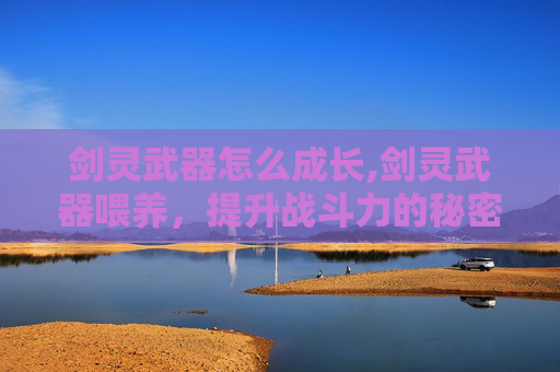 剑灵武器怎么成长,剑灵武器喂养，提升战斗力的秘密武器