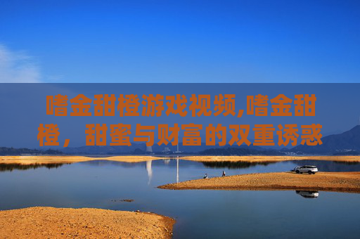 嗜金甜橙游戏视频,嗜金甜橙，甜蜜与财富的双重诱惑