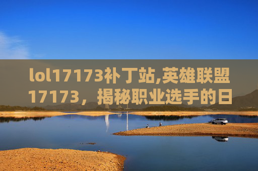 lol17173补丁站,英雄联盟17173，揭秘职业选手的日常生活与训练