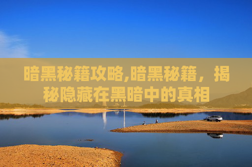 暗黑秘籍攻略,暗黑秘籍，揭秘隐藏在黑暗中的真相