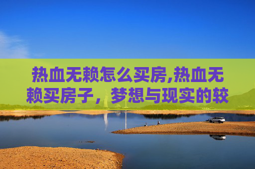 热血无赖怎么买房,热血无赖买房子，梦想与现实的较量