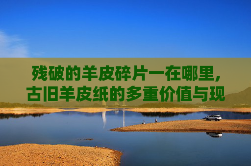 残破的羊皮碎片一在哪里,古旧羊皮纸的多重价值与现代应用
