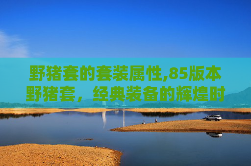 野猪套的套装属性,85版本野猪套，经典装备的辉煌时代