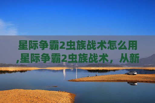 星际争霸2虫族战术怎么用,星际争霸2虫族战术，从新手到高手的蜕变之路