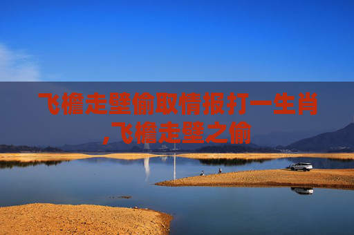 飞檐走壁偷取情报打一生肖,飞檐走壁之偷