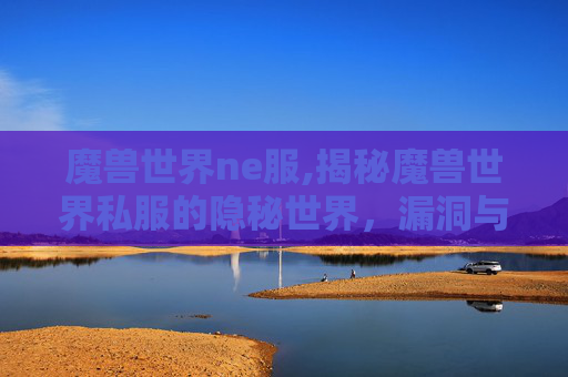 魔兽世界ne服,揭秘魔兽世界私服的隐秘世界，漏洞与挑战