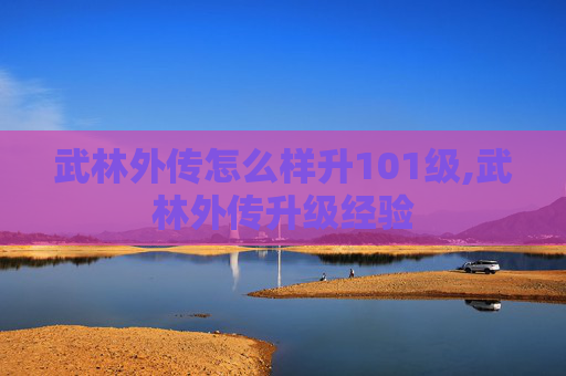 武林外传怎么样升101级,武林外传升级经验
