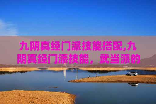 九阴真经门派技能搭配,九阴真经门派技能，武当派的独特风采