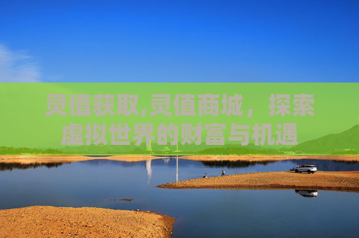 灵值获取,灵值商城，探索虚拟世界的财富与机遇