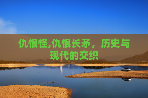 仇恨怪,仇恨长矛，历史与现代的交织