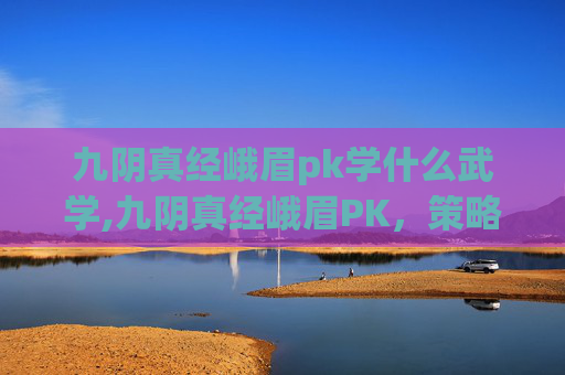 九阴真经峨眉pk学什么武学,九阴真经峨眉PK，策略与技巧的深度剖析