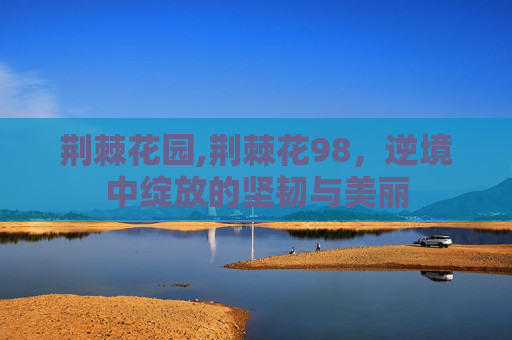 荆棘花园,荆棘花98，逆境中绽放的坚韧与美丽