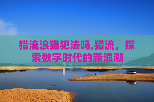 猎流浪猫犯法吗,猎流，探索数字时代的新浪潮