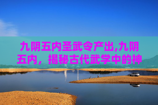 九阴五内圣武令产出,九阴五内,揭秘古代武学中的神秘力量 九阴五内圣武令产出,九阴五内,揭秘古代武学中的神秘力量