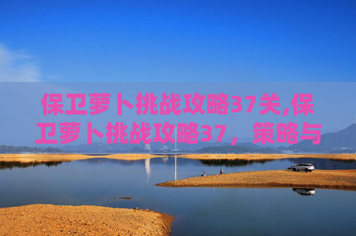 保卫萝卜挑战攻略37关,保卫萝卜挑战攻略37，策略与技巧全面提升