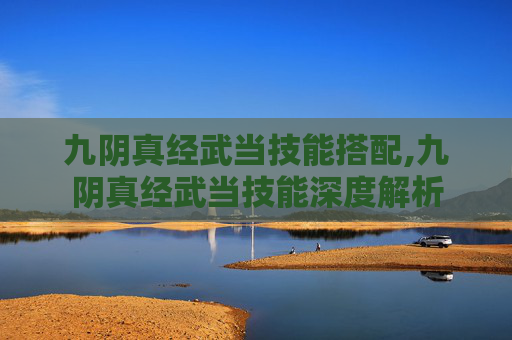 九阴真经武当技能搭配,九阴真经武当技能深度解析