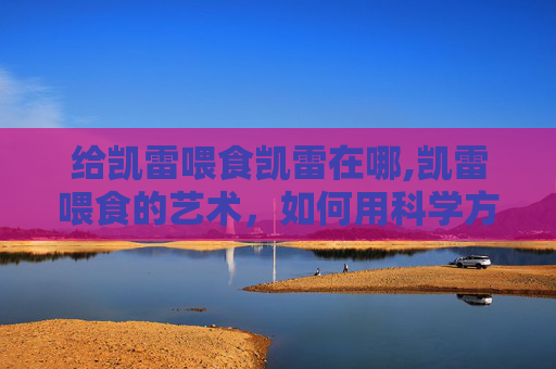 给凯雷喂食凯雷在哪,凯雷喂食的艺术，如何用科学方法喂养宠物？