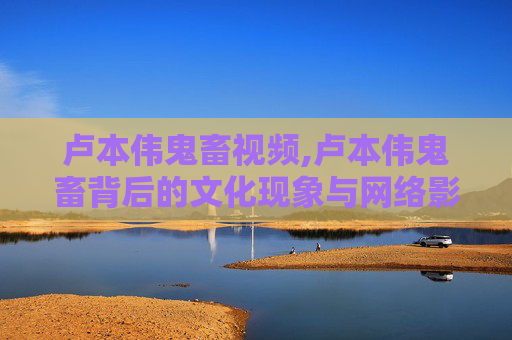 卢本伟鬼畜视频,卢本伟鬼畜背后的文化现象与网络影响