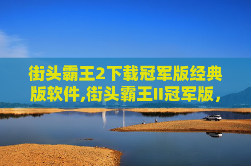 街头霸王2下载冠军版经典版软件,街头霸王II冠军版,经典格斗游戏的不朽传奇 街头霸王2下载冠军版经典版软件,街头霸王II冠军版,经典格斗游戏的不朽传奇